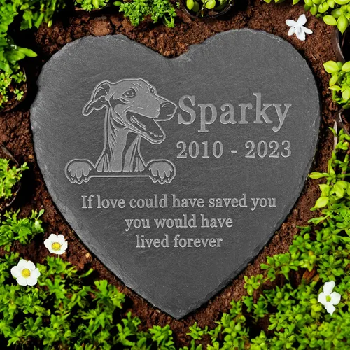 Vista 21 de Memorial personalizado de American Staffordshire Terrier, lápida de American Staffordshire Terrier, condolencias por pérdida de American