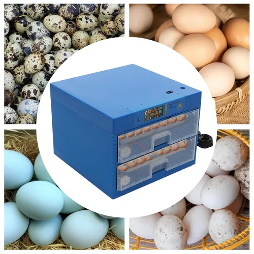 Vista 4 de Incubadora de 128 huevos con giro automático de huevos y control de humedad, incubadoras de uso general de 2 capas para incubar huevos con giro