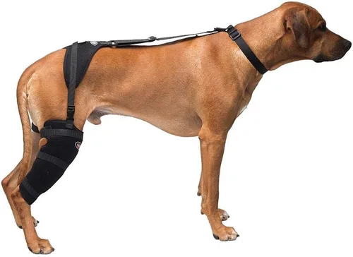 Vista 3 de Caldera Pet Therapy - Envoltura carpiano con gel, grande, color negro
