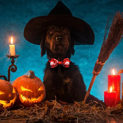 Vista 3 de Eccliy 50 collares ajustables para perros de Halloween Fantasma