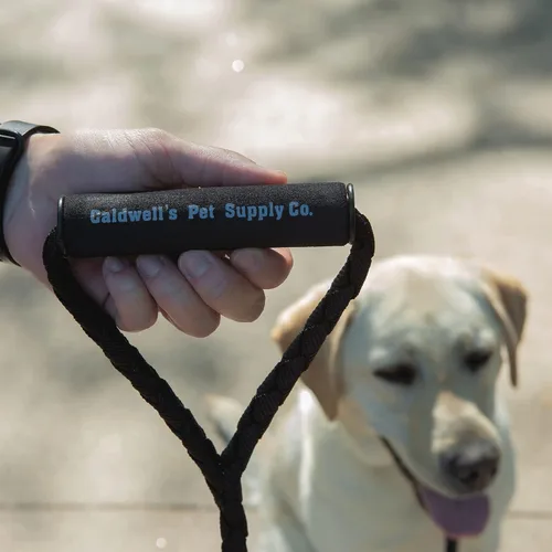 Vista 7 de Instecho Collar de entrenamiento para perro, 100% resistente a la lluvia, recargable, con control remoto electrónico, con cuello electrónico de 330