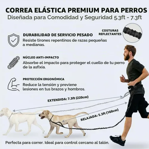 Vista 3 de Correa de perro manos libres con bolsa para la cintura, elástico Negro