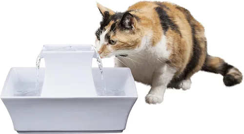Vista 2 de PetSafe Fuente de agua para gatos y perros, filtros de carbono de repuesto de 70 onzas y Drinkwell, cerámica para perros y gatos y filtros de fuente