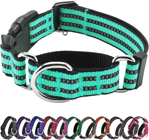 Vista 25 de Hikiko Martingale - Collar reflectante de nailon para perro con hebilla de liberación rápida, ajustable, collar de entrenamiento antideslizante