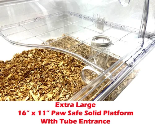 Vista 5 de Gran Deluxe de 2 pisos acrílico transparente hámster ratón, palacio, reptiles, hábitat, extensible y personalizable, rueda de ejercicio, botella