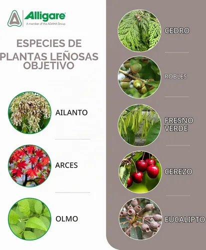 Vista 3 de ALLIGARE Triumph RTU herbicida herbicida mata tocones de árbol listo para usar con tinte azul, controla las plantas leñosas y evita que broten
