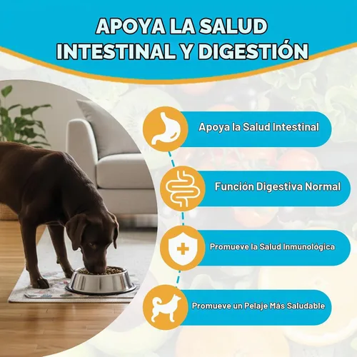 Vista 3 de Suplemento probiótico para perros para apoyo intestinal digestivo
