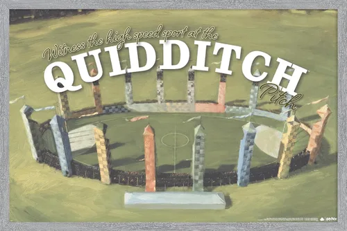 Vista 16 de Trends International El mundo mágico: Harry Potter - Póster de pared de Quidditch de testigo Versión con marco de bronce