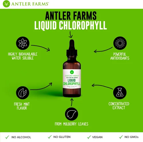 Vista 4 de Antler Farms Gotas de clorofila líquida 100% naturales de 12,000 mg, extracto concentrado 2-8 veces más fuerte, 60 porciones, 2 onzas, apoyo
