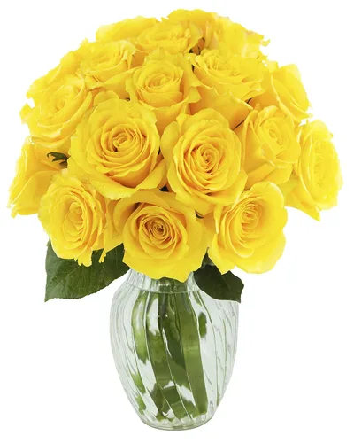 Vista 60 de KaBloom - Rosas arcoíris (media docena)- Flores frescas para cumpleaños, San Valentín y Día de la Madre