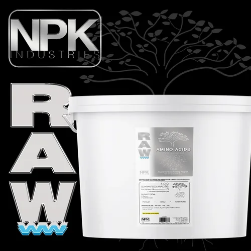 Vista 3 de RAW Aminoácidos: suplemento nutritivo vegetal prémium