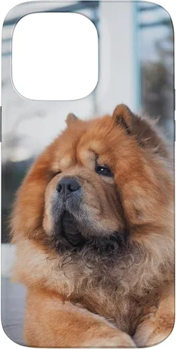 Vista 21 de Funda Chow Chow Chow para iPhone 15 Pro Max