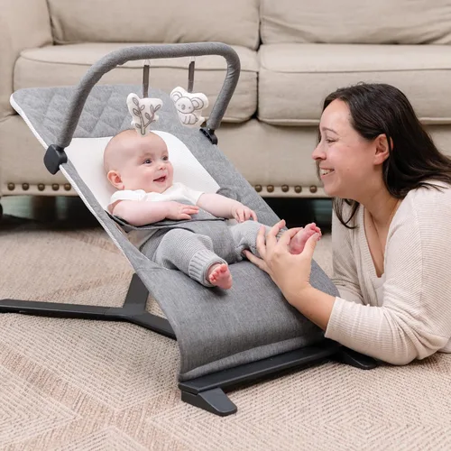 Vista 7 de Mecedora portátil Baby Delight Alpine Deluxe Para bebés 0 – 6 meses Paño color carbón