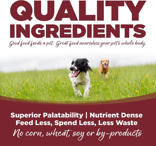 Vista 4 de NutriSource Alimento seco para perros, carne de res y arroz, 4 libras Apoyo digestivo probiótico y prebiótico, piel y pelaje saludables, sin trigo