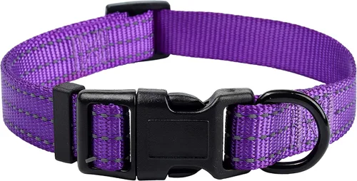 Vista 26 de Mile High Life - Collar para perro con rayas reflectantes 3M y correa de nailon, rojo, azul, verde, morado y rosa