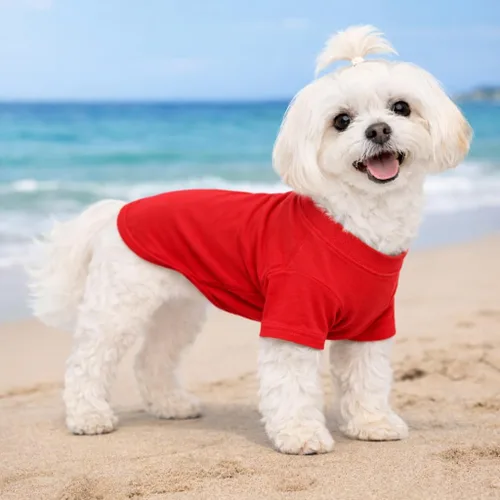 Vista 118 de Lovelonglong 2019 - Ropa para mascotas, Disfraces para Perro, Ropa Camisetas en blanco para Perros Grande Medianos Pequeños 100% Algodón 18