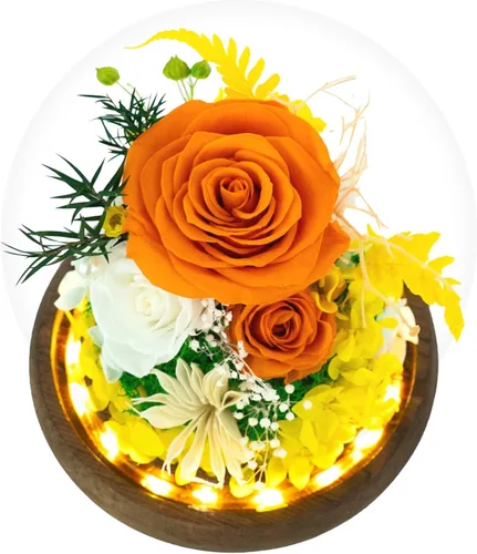 Vista 12 de GLAMOUR BOUTIQUE Mini flor preservada para árbol de Navidad en cúpula de cristal con luz, decoración de mesa de Navidad Flowers Forever de larga