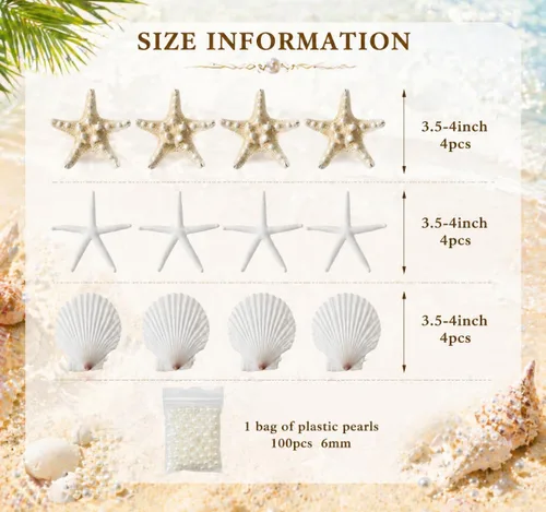 Vista 3 de JSPYFITS Estrellas de mar grandes de 2.5 a 4 pulgadas y conchas de vieira para manualidades, 12 unidades, conchas naturales de mar de playa