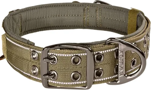 Vista 7 de Juego de correa y collar para perros extragrandes Green Bungee
