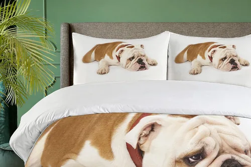 Vista 3 de Ambesonne Juego de funda de edredón de Bulldog inglés, Bulldog triste y cansado, fotografía de animales de raza pura europea, juego de cama