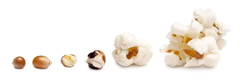 Vista 2 de Perfectware Condimento para palomitas de maíz de 4 onzas, rancho, temporada de palomitas de maíz de 4 onzas
