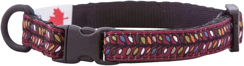 Vista 35 de RC Pets Kitty Breakaway - Collar para gatos, Cat-titude