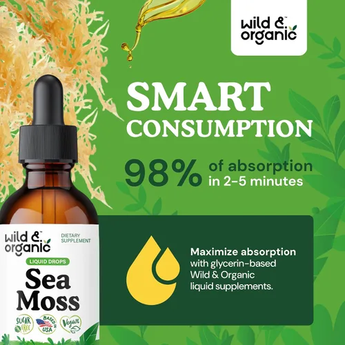 Vista 4 de Wild & Organic Gotas líquidas de musgo marino – Apoyo inmunológico – Tintura de musgo marino irlandés y vejiga – Suplemento multimineral Chondrus