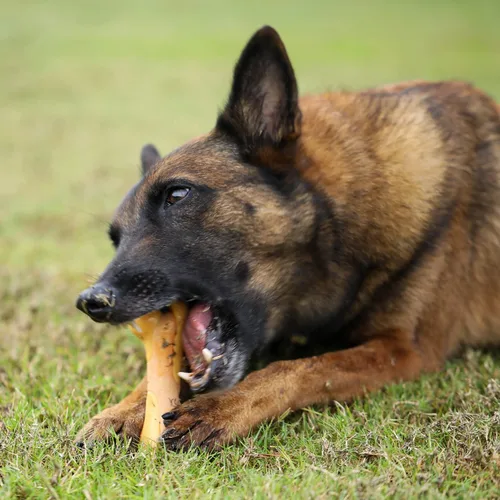Vista 2 de Tikaton Juguetes masticables indestructibles para perros para masticadores agresivos, sabor a pollo, juguetes masticables duraderos para dentición