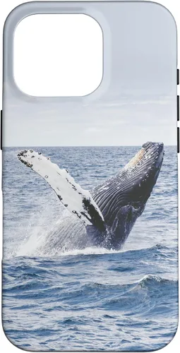 Vista 20 de Whale Case for iPhone 17