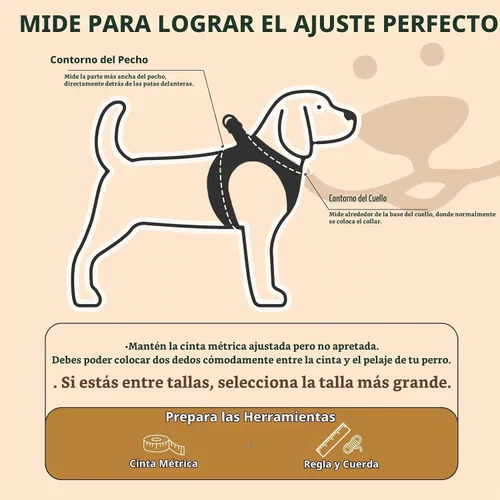 Vista 2 de PUPTECK - Arnés, collar y correa ajustables, sin tirones, para perros pequeños y medianos, cachorros y gatos, pechera reflectante acolchada de malla