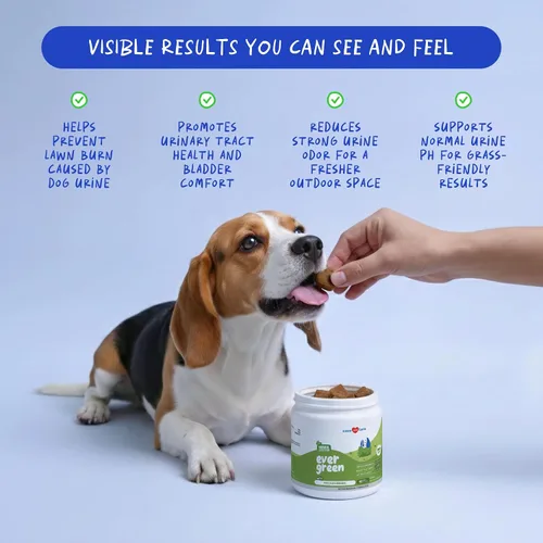 Vista 3 de Masticables para quemar hierbas, neutralizador de orina de perro y protector de césped With Canine Enzyme Blend, Probiotics & Cranberry.