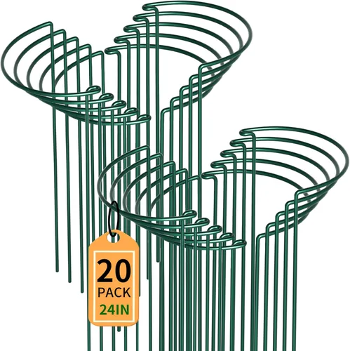 Vista 13 de TCBWFY Paquete de 10 estacas de soporte para plantas de peonía, 10 pulgadas de ancho x 16 pulgadas de alto, jaulas de peonía de alta resistencia