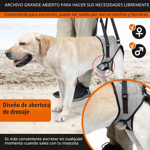 Vista 4 de ROZKITCH Arnés de elevación para perros, ayuda de soporte trasero para mascotas, aprobado por veterinarios, para ayuda de edad avanzada con poca