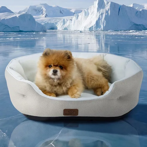 Vista 8 de Bedsure AeroFrost™ - Cama refrescante para perros pequeños, redonda