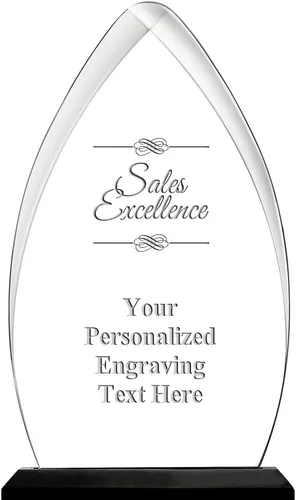 Vista 5 de Crown Awards Premio Acrílico Personalizado con Grabado Gateway Skyline de 6.75 Pulgadas