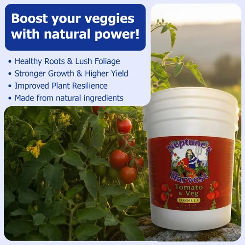 Vista 5 de Neptune's Harvest Fertilizante orgánico para plantas de tomate y verduras (2-4-2) – Alimento líquido para plantas con pescado fresco, algas marinas