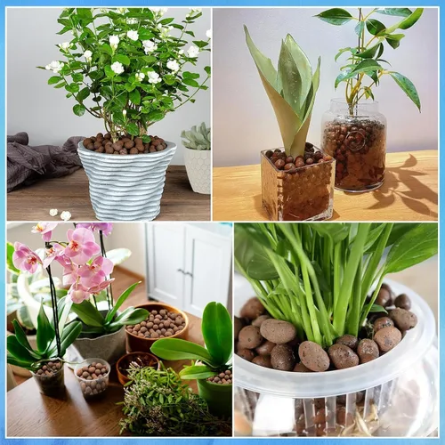 Vista 7 de ZeeDix - Guijarros de arcilla leca de 5 libras para plantas. Bolas de arcilla hidropónica orgánica Hydroton Leca Balls for Indoor Plants