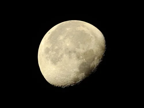 Vista 17 de Nikon Coolpix P900 Super Zoom Cámara - Nuevo