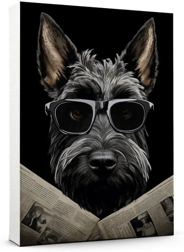 Vista 198 de Thuan Affenpinscher - Póster de lienzo con tus fotos, arte de pared para decoración del hogar, regalo conmemorativo para amantes de las mascotas