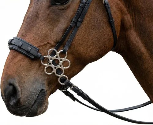 Vista 3 de CHALLENGER Caballo Cuero Flor Mango Acolchado Noseband Entrenamiento Hackamore Curb Correa 35H67