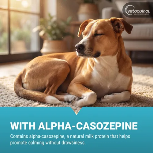 Vista 4 de Vetoquinol Zylkene Suplemento calmante de apoyo para perros medianos de 33 a 65 libras promueve la relajación, reduce el estrés y apoya el alivio