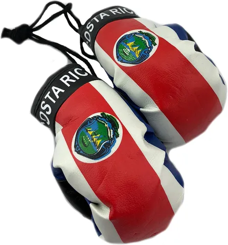 Vista 9 de Mini guantes de boxeo para colgar en el espejo del coche (Camerún)