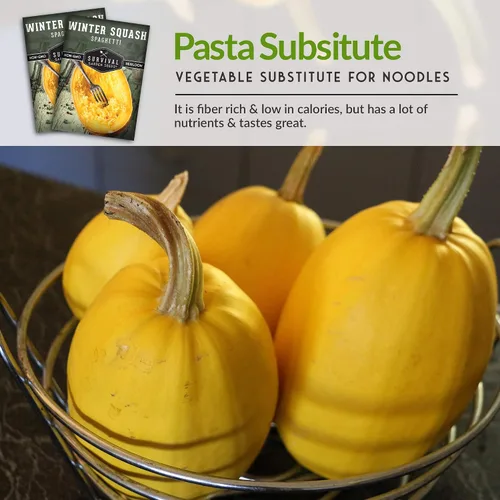 Vista 6 de Survival Garden Seeds - Semillas de calabaza espagueti para plantar - Paquete con instrucciones para plantar y cultivar calabazas de invierno