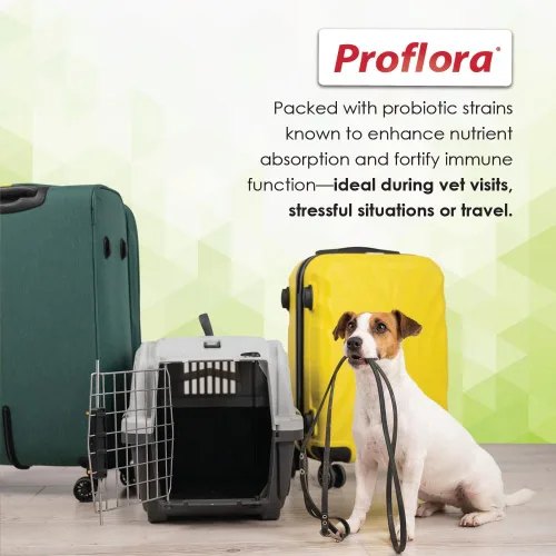 Vista 6 de Probióticos diarios y prebióticos para perros, apoya la salud digestiva y el sistema inmunológico, 30 sobres de polvo, 1.06 onzas (paquete de 1)