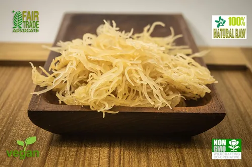 Vista 5 de Musgo irlandés premium Caribbean Superfood - Semillas artesanales silvestres, cosechadas éticamente, hace 4 cuartos de gel