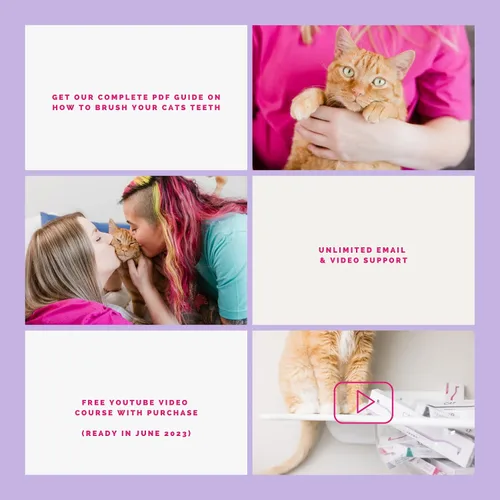 Vista 7 de RYERCAT - Cepillo de dientes para gatos de doble cara, cepillo de dientes para gatito con microcabezal para un ajuste personalizado, suministros