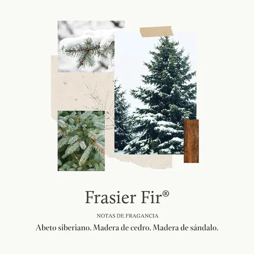 Vista 3 de Thymes - Frasier Fir - Recarga de vela votiva aromática, 15 horas de tiempo de combustión, 2 onzas, 3 unidades.