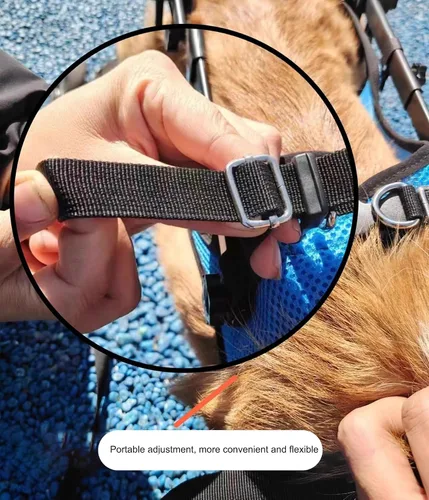 Vista 5 de Herramienta ligera para caminar para perros, silla de ruedas ajustable para perros, soporte para piernas y soporte de cadera para perros pequeños