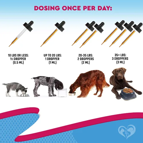 Vista 7 de Tratamiento para la tos de perrera y medicina natural para infecciones para perros y gatos - Alivio respiratorio y para la tos fría - Colapso