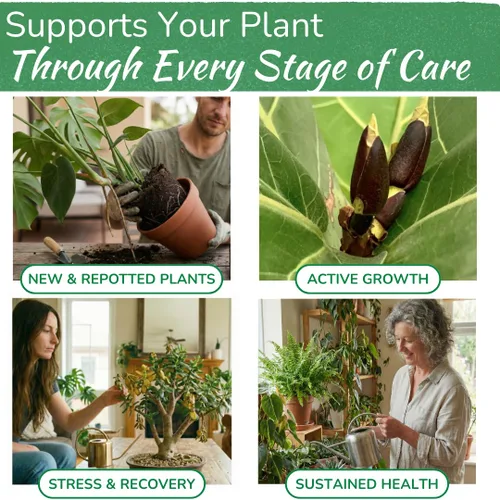 Vista 3 de Abono para Plantas de Interior de Houseplant Resource Center - Fertilizante Líquido Orgánico para Pothos, Lirio de Paz, Monstera, Cactus y Más - 8 oz